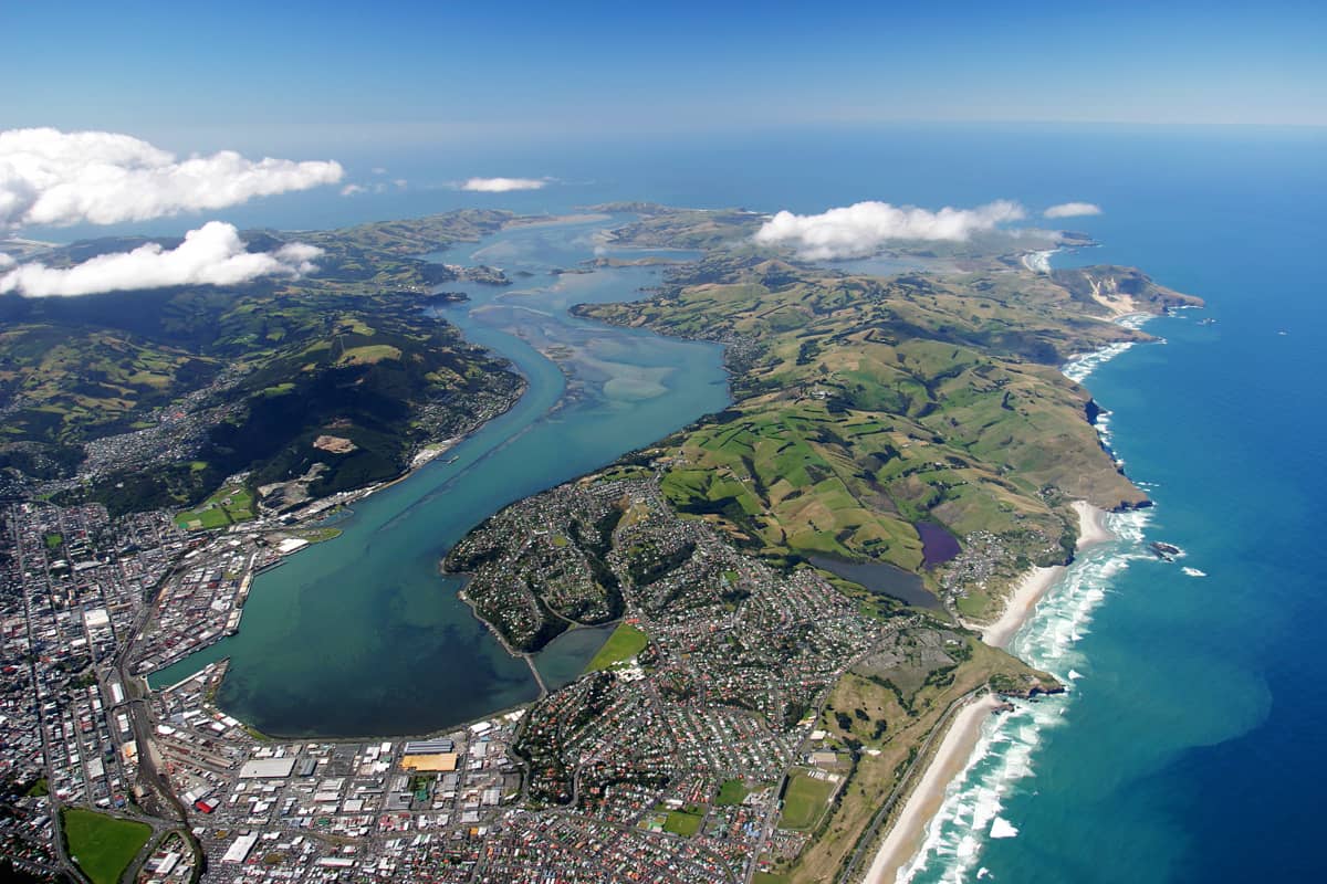 Dunedin web and app development